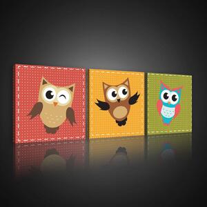 Obraz na plátně: Dětské sovy - set 3ks 25x25cm