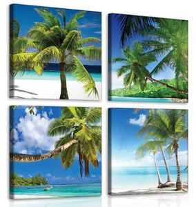 Obraz na plátně: Palmy na pláži - set 4ks 25x25cm