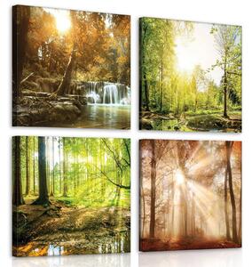 Obraz na plátně: Výhledy do lesa (1) - set 4ks 25x25cm