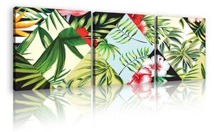 Obraz na plátně: Malovaná tropická flóra (1) - set 3ks 25x25cm