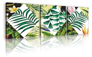 Obraz na plátně: Malovaná tropická flóra (2) - set 3ks 25x25cm