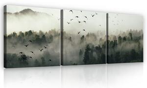 Obraz na plátně: Mlžný les - set 3ks 25x25cm