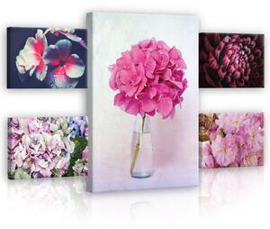 Obraz na plátně: Růžové květiny - set 1ks 70x50 cm a 4ks 32,4x22,8 cm