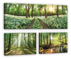 Obraz na plátně: Cesta lesem - set 1ks 80x30 cm a 2ks 37,5x24,8 cm