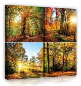 Obraz na plátně: Les - set 4ks 25x25cm