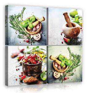 Obraz na plátně: Bylinky a chilli - set 4ks 25x25cm