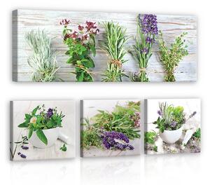 Obraz na plátně: Levandule - set 1ks 80x30 cm a 3ks 25,8x24,8 cm