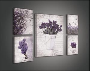 Obraz na plátně: Levandule - set 1ks 50x70 cm a 4ks 32,4x22,8 cm