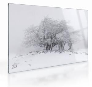 Skleněný obraz - Bílá zima (70x50 cm)