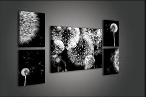 Obraz na plátně: Pampelišky - set 1ks 70x50 cm a 4ks 32,4x22,8 cm