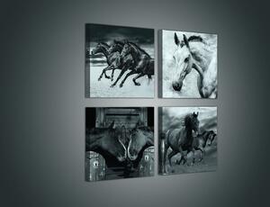 Obraz na plátně: Koně - set 4ks 25x25cm