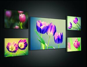 Obraz na plátně: Tulipány (2) - set 1ks 70x50 cm a 4ks 32,4x22,8 cm