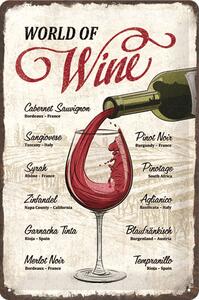 Plechová cedule: World of Wine - 30x20 cm