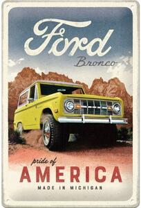 Plechová cedule: Ford Bronco (Pride of America) - 20x30 cm