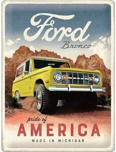 Plechová cedule: Ford Bronco (Pride of America) - 30x40 cm