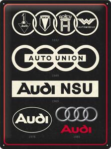 Plechová cedule: Audi Logo Evolution - 40x30 cm