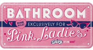 Závěsná cedule: Pink Ladies Bathroom - 20x10 cm