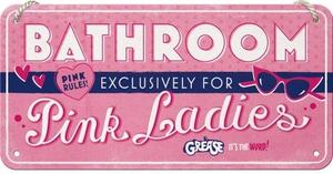 Závěsná cedule: Pink Ladies Bathroom - 20x10 cm