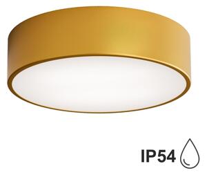 Brilagi - Koupelnové stropní svítidlo CLARE 2xE27/24W/230V pr. 30 cm IP54 zlatá