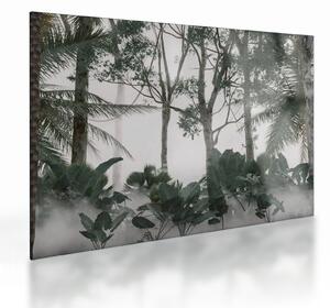 Skleněný obraz - Jungle v ranní mlze (70x50 cm)