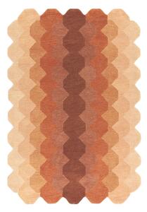 Vlněný koberec v cihlové barvě 160x230 cm Hive – Asiatic Carpets