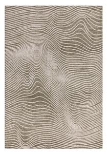 Krémovo-zelený koberec 160x230 cm Mason – Asiatic Carpets