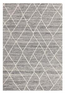 Šedý vlněný koberec 200x290 cm Noah – Asiatic Carpets