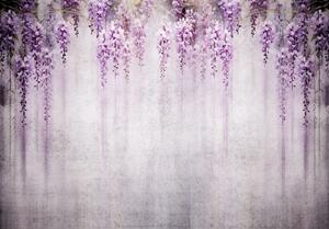 Fototapeta vliesová: Flowers Violet Wisteria Romantic - 208x146 cm
