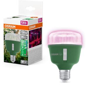 LED žárovka pro pěstování rostlin Star Grow Lamp T 80, 20W, Čirá, E27