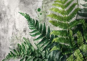 Fototapeta vliesová: Fern Leaves Structure - 208x146 cm