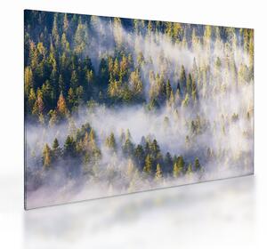 Skleněný obraz stromů v mlze (70x50 cm)