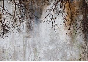Fototapeta vliesová: Imitation concrete trees modern - 416x254 cm