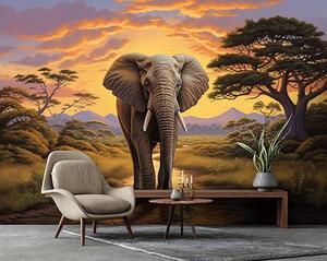 Fototapeta vliesová: Animals Elephant Safari - 416x254 cm