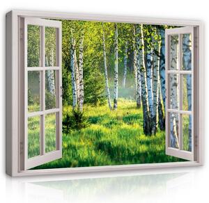 Obraz na plátně: 3D Effect Window View Birch Forest - 80x60 cm