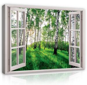 Obraz na plátně: 3D Effect Window Birch Forest View - 80x60 cm