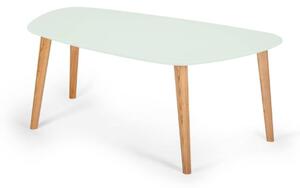 Konferenční stolek Endocarp 110x66x45cm - máta / jasan