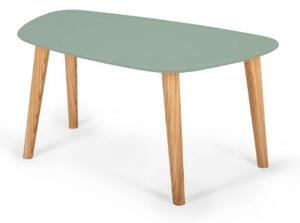 Konferenční stolek Endocarp 80x48x40cm - zelený / Ashwood