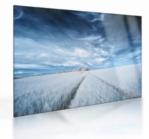 Skleněný obraz pole (70x50 cm)