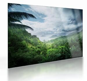 Skleněný obraz - Seychelská jungle (70x50 cm)