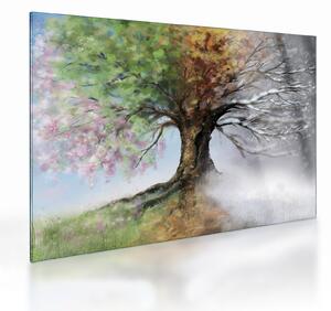 Skleněný obraz - Strom čtyř ročních období (70x50 cm)