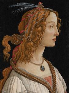 Obrazová reprodukce Portrait of Simonetta Vespucci - Sandro Botticelli, (30 x 40 cm)