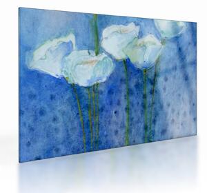 Skleněný obraz - Bílé tulipány (70x50 cm)