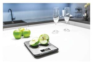 EMOS Digitální kuchyňská váha EV026, stříbrná EV026