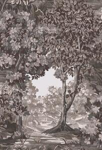 Vliesová tapeta na zeď, hnědo-šedá, stromy, 127903, Arboretum, Graham Brown Premium