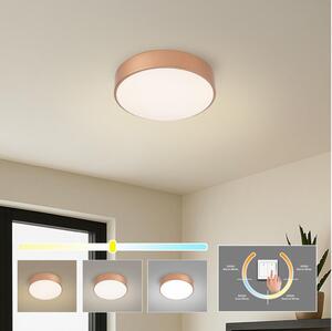 BRILAGI - LED Stropní svít.POOL LED/24W/230V 3000/4000/6000K pr. 20 cm měděná