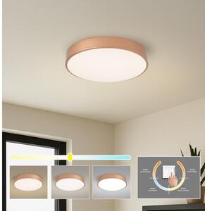 BRILAGI - LED Stropní svít. POOL LED/48W/230V 3000/4000/6000K pr. 40 cm měděná