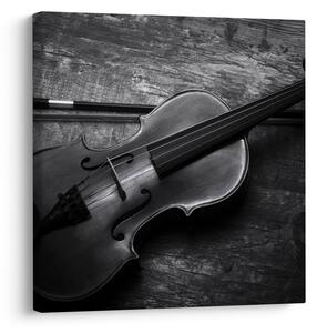 Obraz - Viola (30x30 cm)