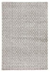 Hans Home | Kusový koberec Stella 102603, šedá - 80x150