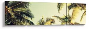 Obraz s kokosovými palmami (170x50 cm)