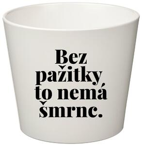 BEZ PAŽITKY TO NEMÁ ŠMRNC. - malý květináč